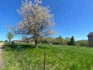 Prodej pozemku pro bydlení, Hamr na Jezeře, 3156 m2