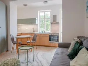 Pronájem bytu 1+kk, Praha - Nusle, Mečislavova, 32 m2