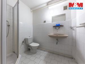 Prodej chaty, Albrechtice v Jizerských horách, 600 m2