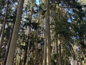 Prodej pozemku, Slabčice, 9236 m2