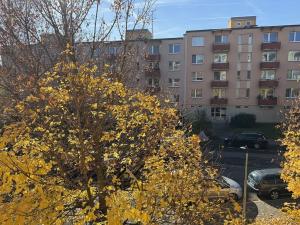 Pronájem bytu 3+1, Šlapanice, Brněnská, 74 m2