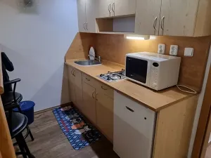 Pronájem bytu 1+kk, Praha - Žižkov, Jagellonská, 35 m2