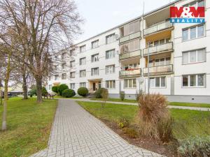 Prodej bytu 3+1, Bor, Borská, 60 m2