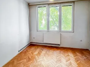 Prodej bytu 3+1, Slavonice, Svatopluka Čecha, 65 m2