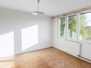 Prodej bytu 3+1, Slavonice, Svatopluka Čecha, 65 m2