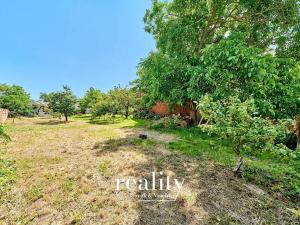 Prodej zemědělské usedlosti, Borotice, 226 m2