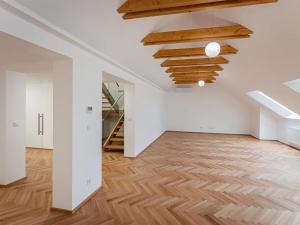 Pronájem bytu 4+kk, Praha - Nové Město, Růžová, 149 m2