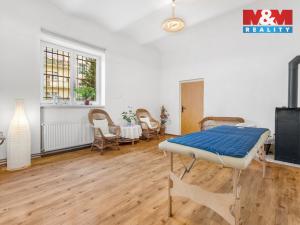 Prodej obchodního prostoru, Ústí nad Labem - Ústí nad Labem-centrum, Masarykova, 48 m2