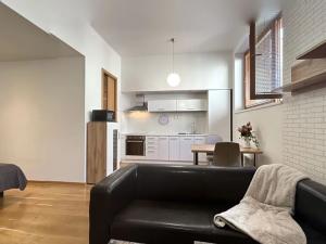 Pronájem bytu 1+kk, Praha - Vinohrady, Uruguayská, 38 m2