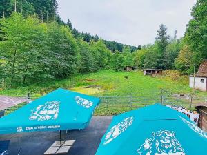 Prodej zemědělského objektu, Valašské Klobouky, Brumovská, 467 m2