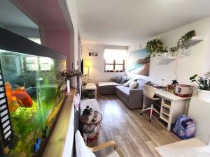 Pronájem bytu 2+kk, Vřesina, Havířská, 50 m2