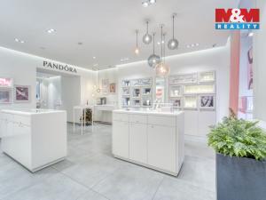 Pronájem obchodního prostoru, Plzeň - Vnitřní Město, Bedřicha Smetany, 116 m2