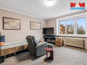 Prodej bytu 2+1, Litvínov - Horní Litvínov, U Zámeckého parku, 58 m2