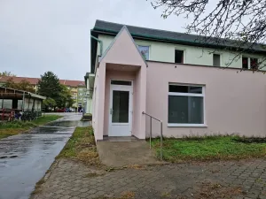 Pronájem obchodního prostoru, Hodonín, Cihlářská čtvrť, 61 m2