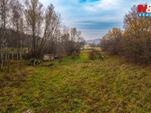 Prodej louky, Česká Lípa, 5589 m2