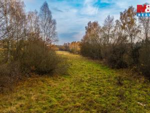Prodej louky, Česká Lípa, 5589 m2