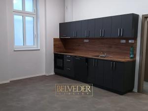 Pronájem bytu 3+kk, Teplice, Pražská, 57 m2