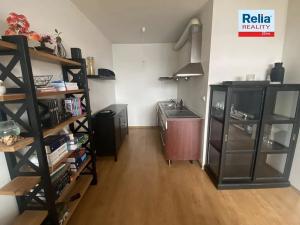 Pronájem bytu 2+kk, Liberec, Americká, 61 m2