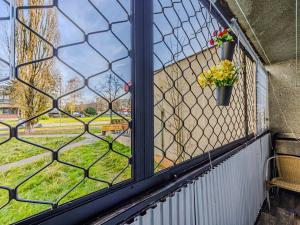 Prodej bytu 2+kk, Havířov, 17. listopadu, 46 m2