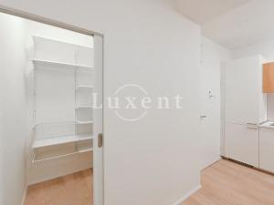 Pronájem bytu 2+kk, Praha - Vinohrady, Lucemburská, 50 m2