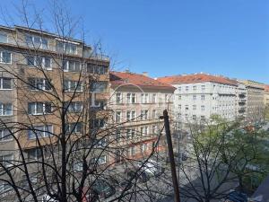 Pronájem bytu 2+kk, Praha - Vinohrady, Lucemburská, 50 m2