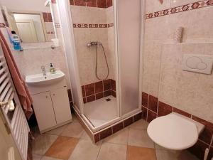 Pronájem bytu 2+kk, Olomouc, Dolní náměstí, 60 m2