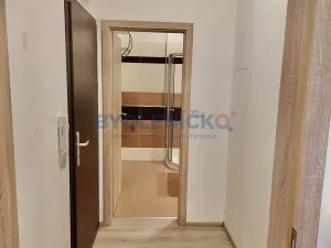 Pronájem bytu 1+kk, České Budějovice, 35 m2