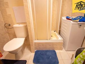 Pronájem bytu 1+kk, Trutnov, Maxima Gorkého, 30 m2