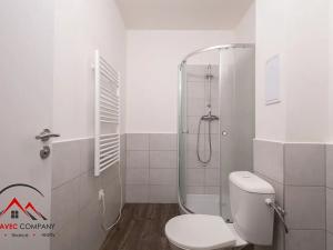 Pronájem bytu 1+kk, Ostrava, Palackého, 26 m2