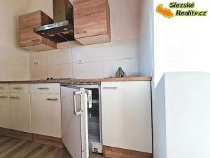 Pronájem bytu 1+kk, Ostrava, Krakovská, 22 m2