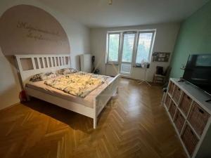 Pronájem bytu 1+1, Praha - Podolí, Jeremenkova, 28 m2