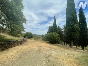 Prodej zemědělské usedlosti, Arezzo, Itálie, 300 m2