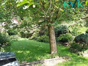 Prodej rodinného domu, Loket, 180 m2