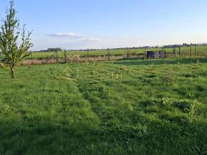 Prodej zahrady, Hněvotín, 507 m2