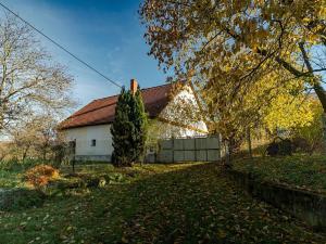 Prodej zemědělské usedlosti, Vysoké Mýto, 250 m2