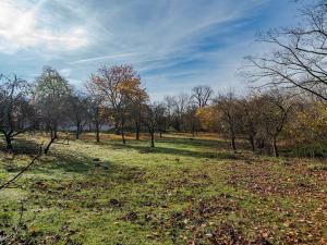 Prodej zemědělské usedlosti, Vysoké Mýto, 250 m2