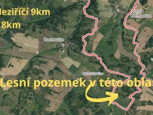 Prodej lesa, Horní Heřmanice, 31116 m2