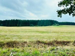 Prodej louky, Herálec, 35197 m2