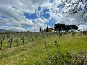 Prodej vily, Monte San Savino, Itálie, 250 m2