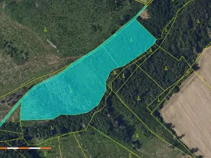 Prodej lesa, Česká Bělá, 18552 m2