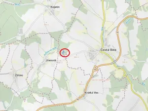 Prodej lesa, Česká Bělá, 6755 m2