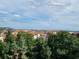 Prodej bytu 4+kk, Brno, Provazníkova, 75 m2