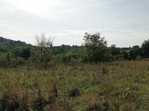 Prodej pozemku pro bydlení, Kouřim, Na Salabce, 2614 m2