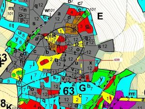 Dražba lesa, Kuřimany, 8912 m2