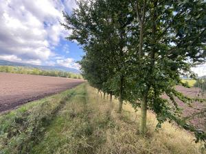 Prodej lesa, Lánov - Horní Lánov, 4009 m2