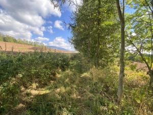 Prodej lesa, Lánov - Horní Lánov, 4009 m2