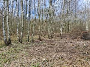 Prodej pozemku pro bydlení, Kostelec u Křížků, 1188 m2