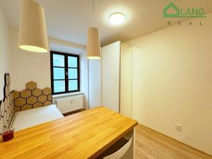 Pronájem bytu 1+kk, Brno, Francouzská, 18 m2