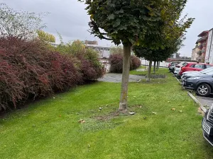 Prodej bytu 3+kk, Plzeň, Bělohorská, 67 m2