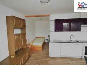 Prodej bytu 1+kk, Teplice, kpt. Jaroše, 33 m2